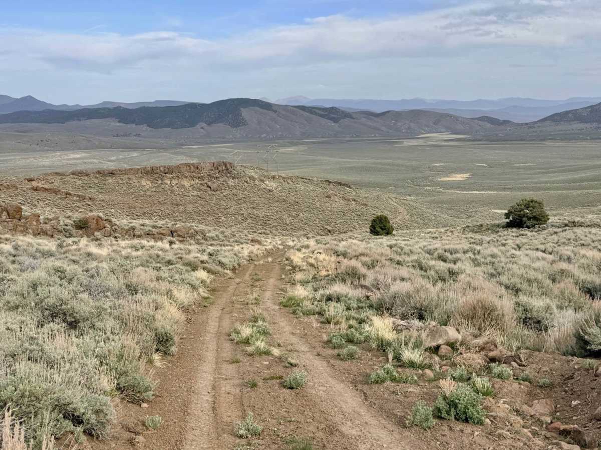 Willow Creek Loop (FS43493) trail photo
