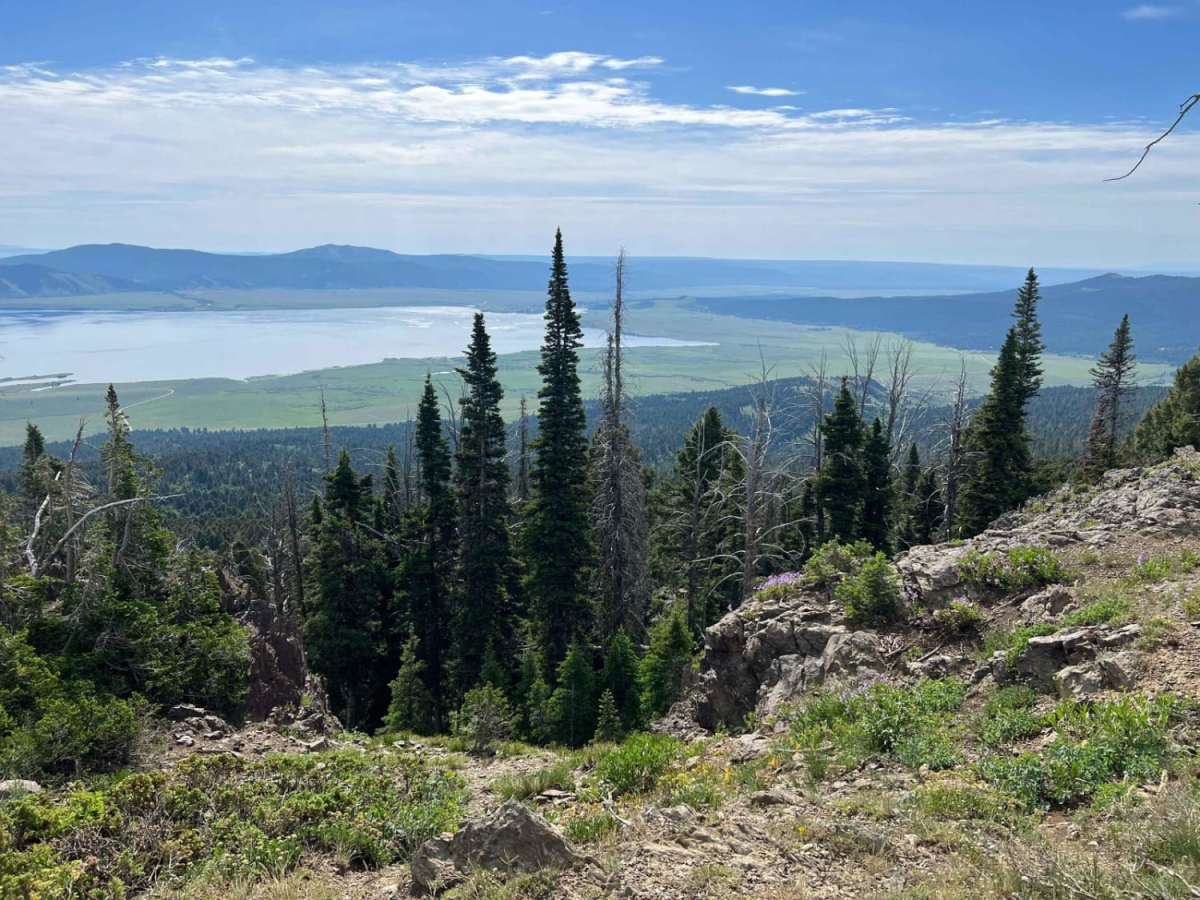 Continental Divide Trail (FS 20056) photo 3