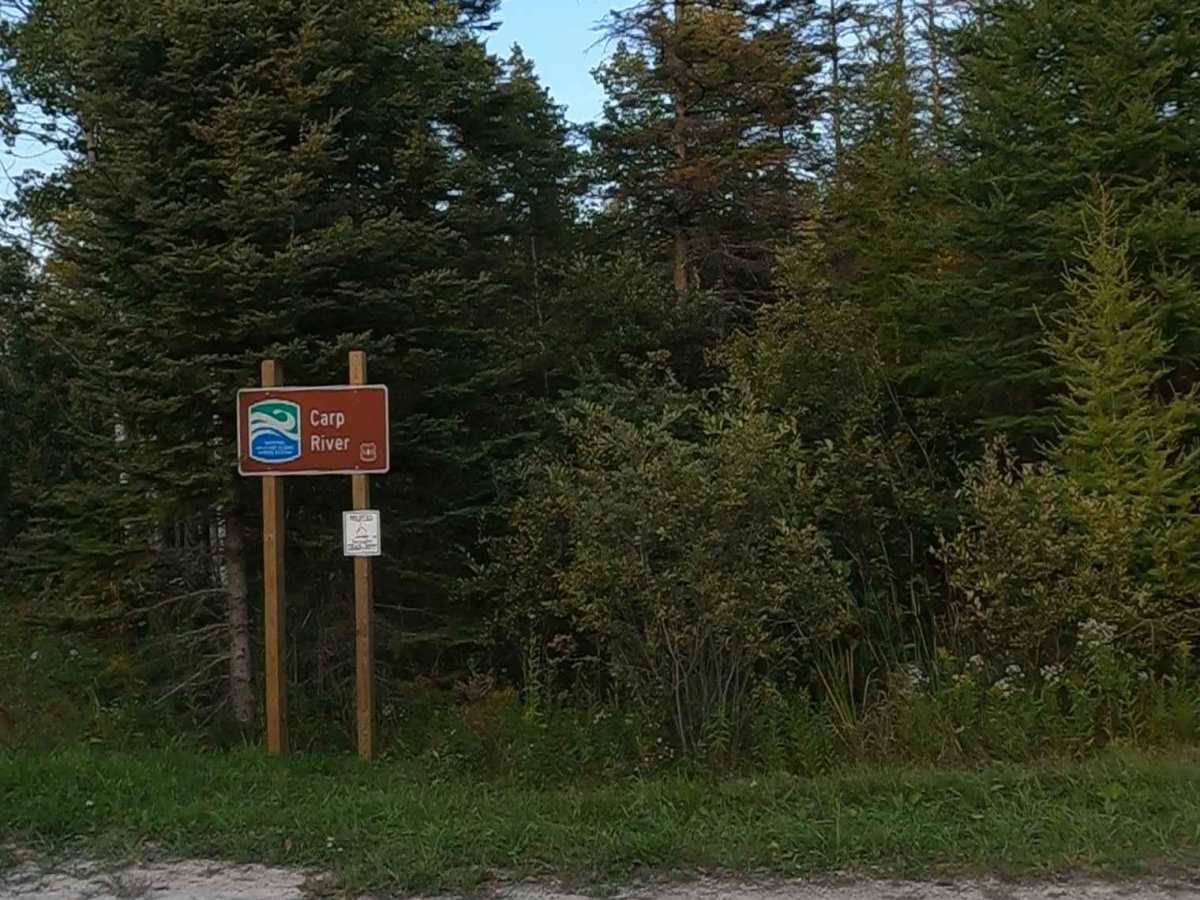 Carp River Boat Landing Road - FS 3127  photo 6