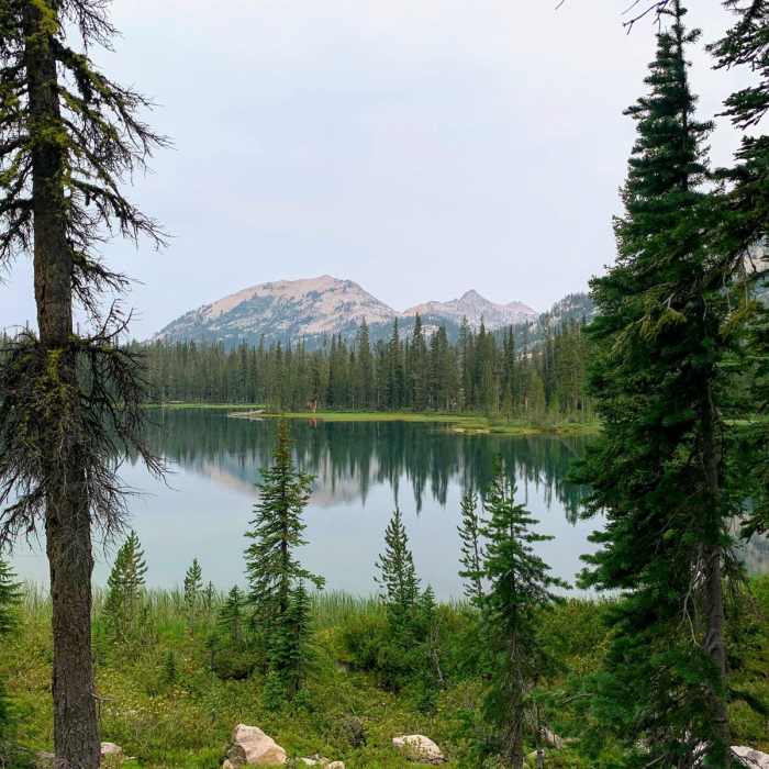 Near Mount Cramer Trail via Sand Mountain Pass
