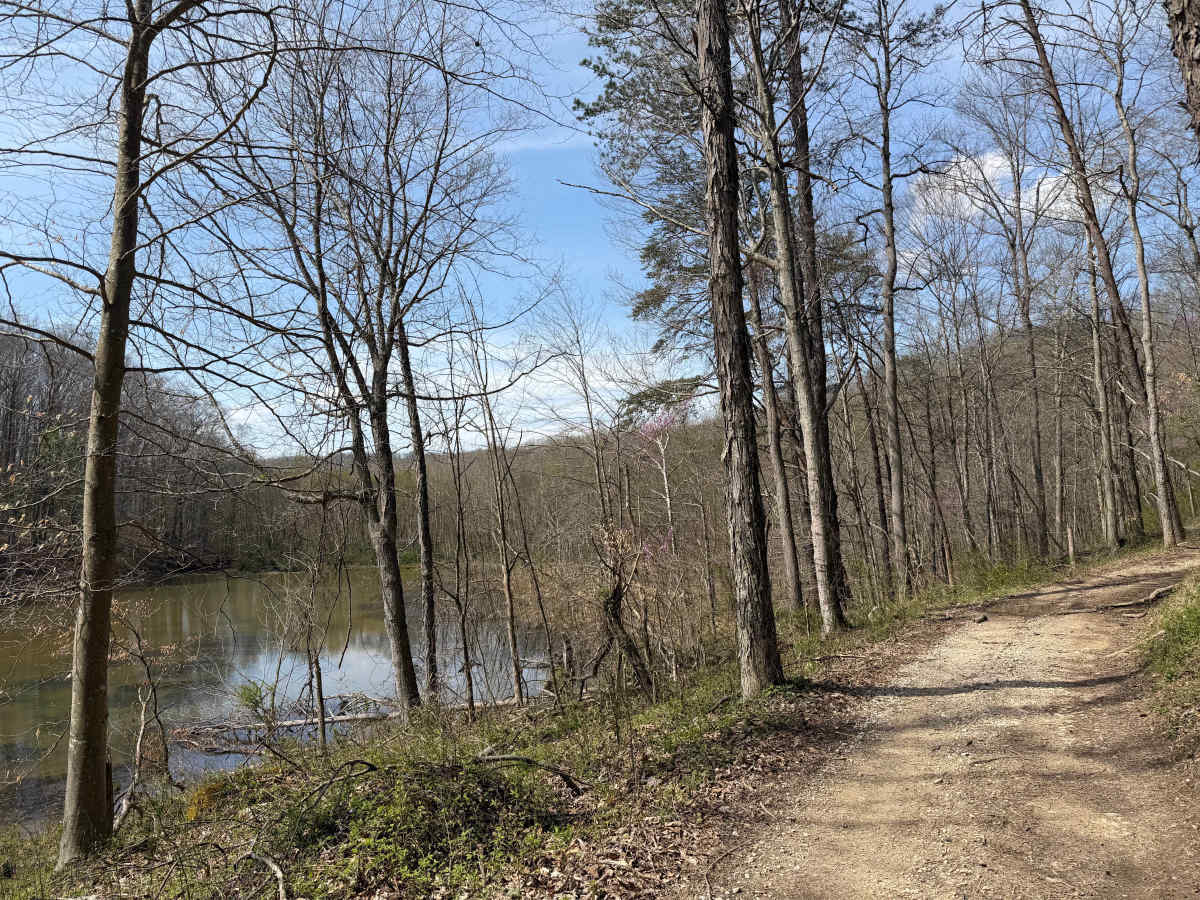 Wolcott Loop photo 5