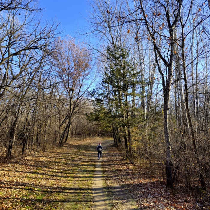 On the Hill Trail. Near Hill Trail