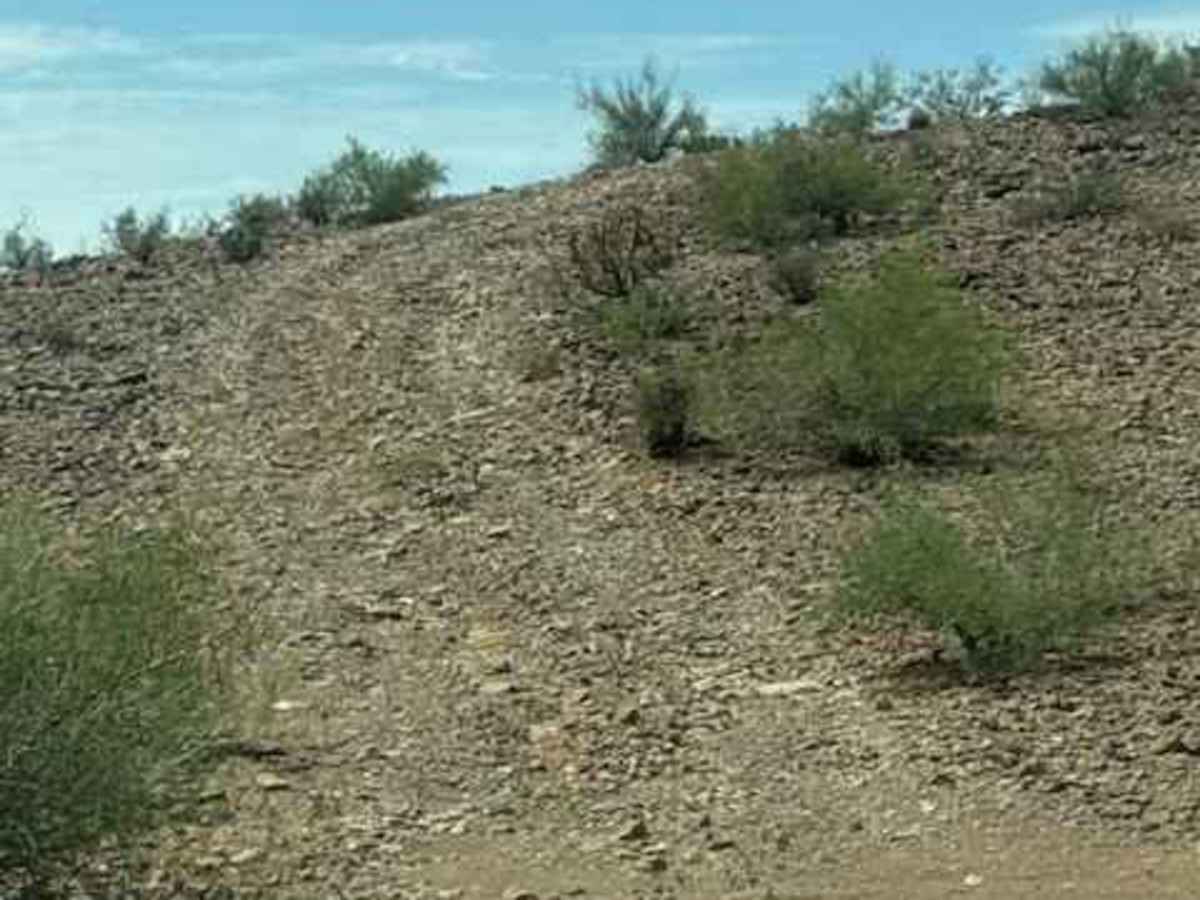 PE1037 trail photo