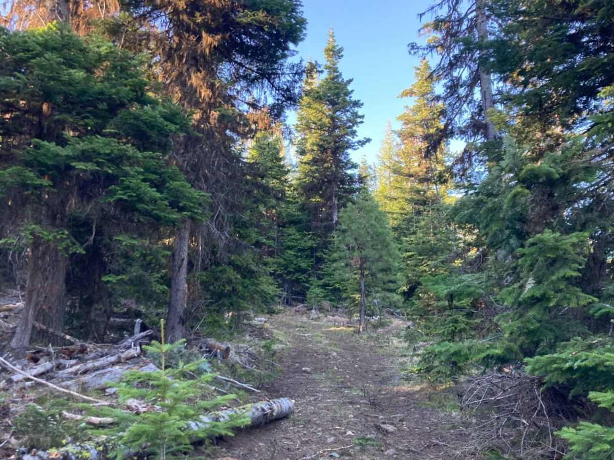 View for Days photo 3