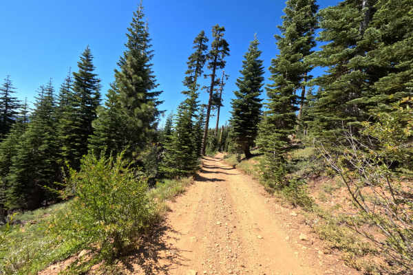 Deer Lake Road - FS 93-001