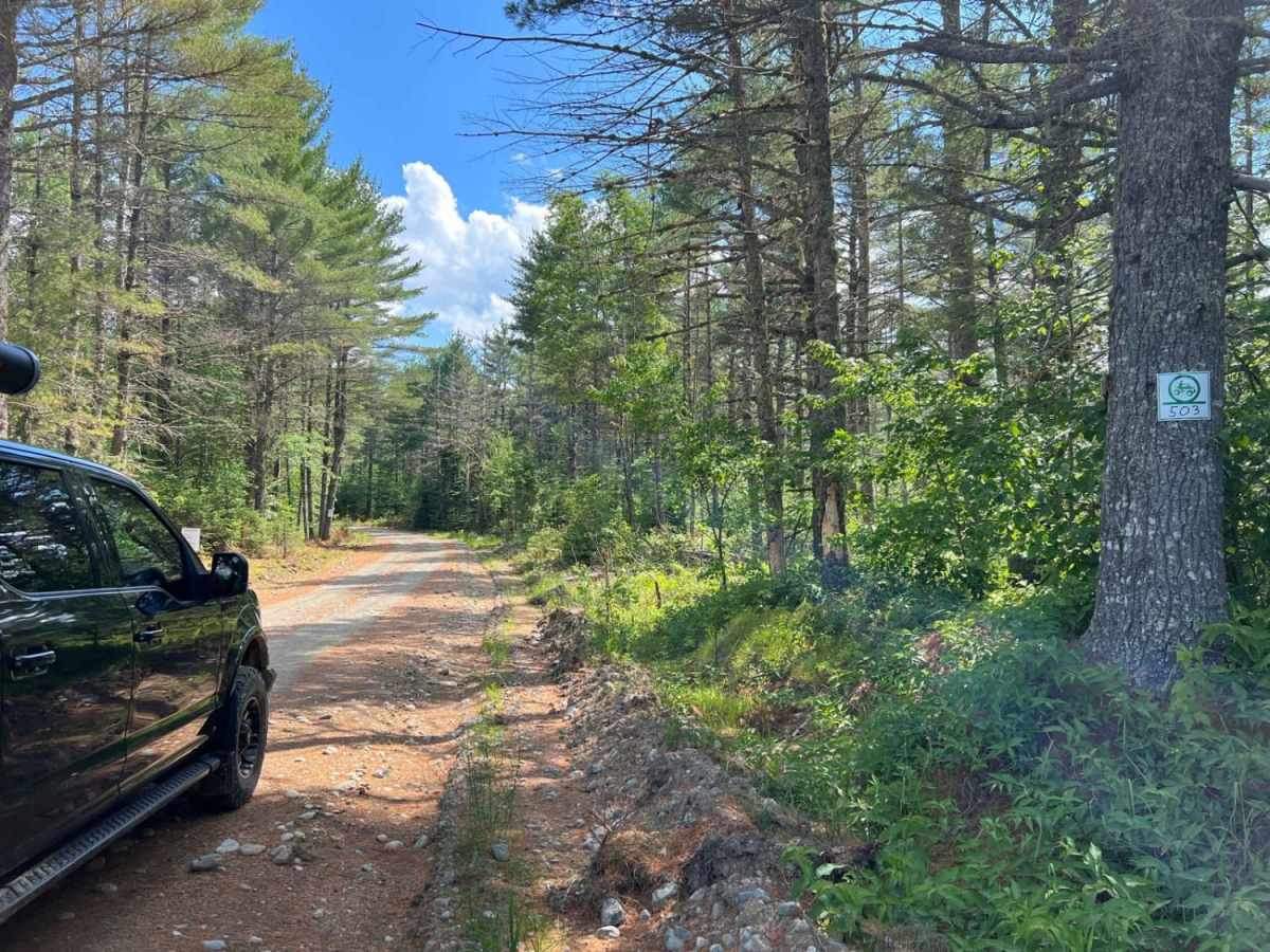 Spectacle Pond trail photo