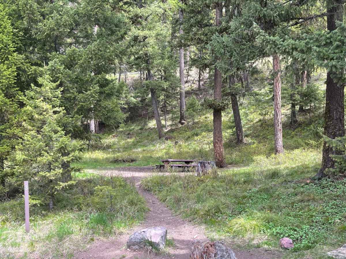 Lake Inez Campground Loop photo 3