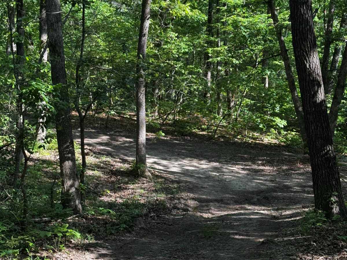 East Inner Trail 4 photo 4