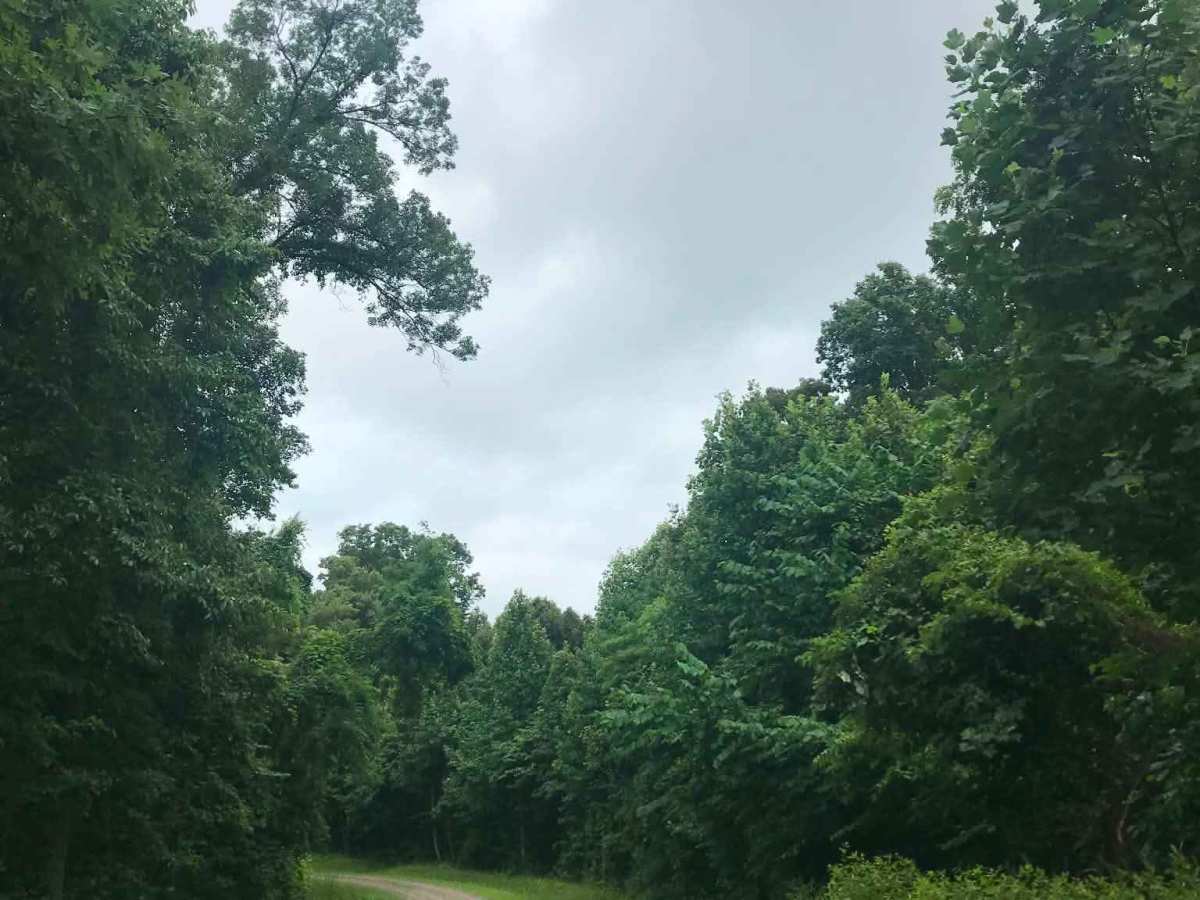 Cades Hollow photo 4