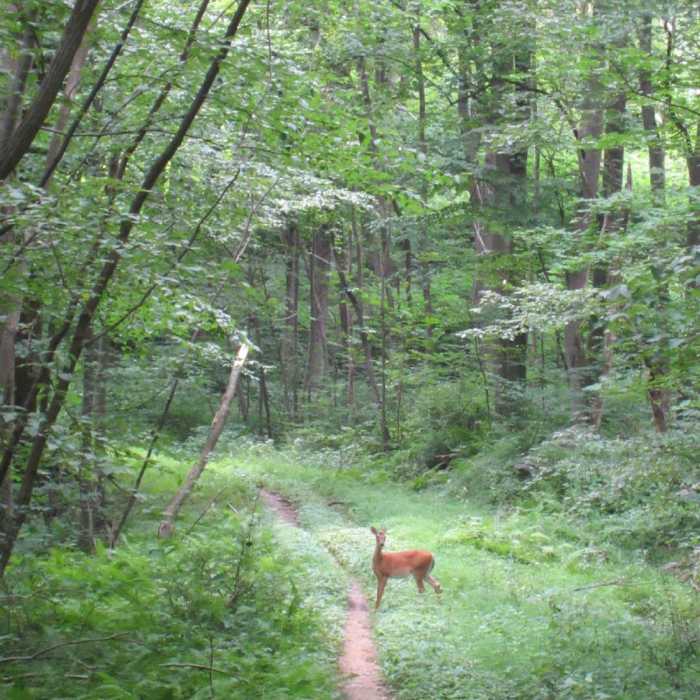 Near Sunset Rocks Loop Hike