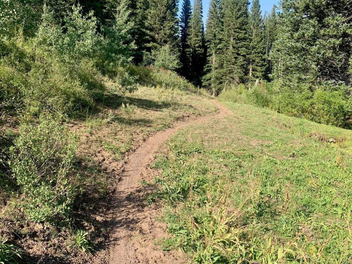 Big Creek Scout Trail photo 6