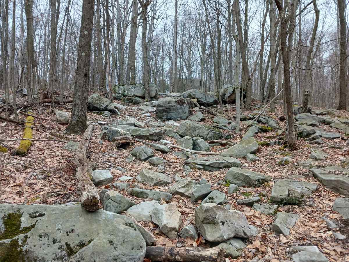 OHV 54 - Rock Run Recreation Area trail photo
