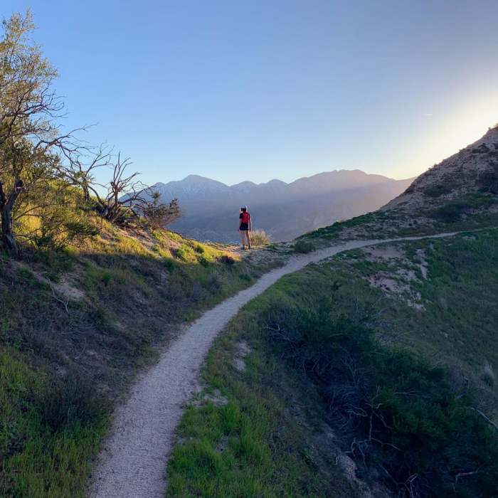 Near Cleghorn Peak Loop