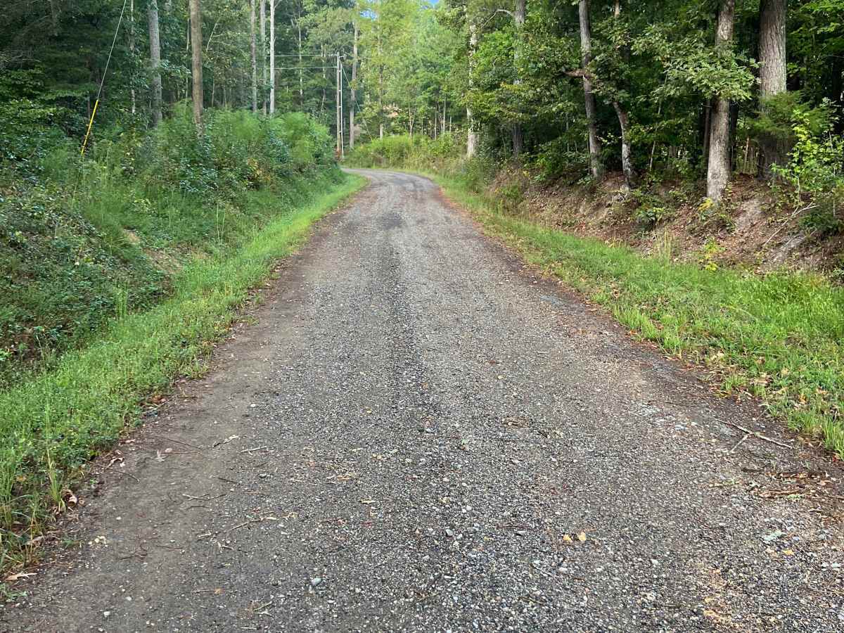 Reo Road photo 2