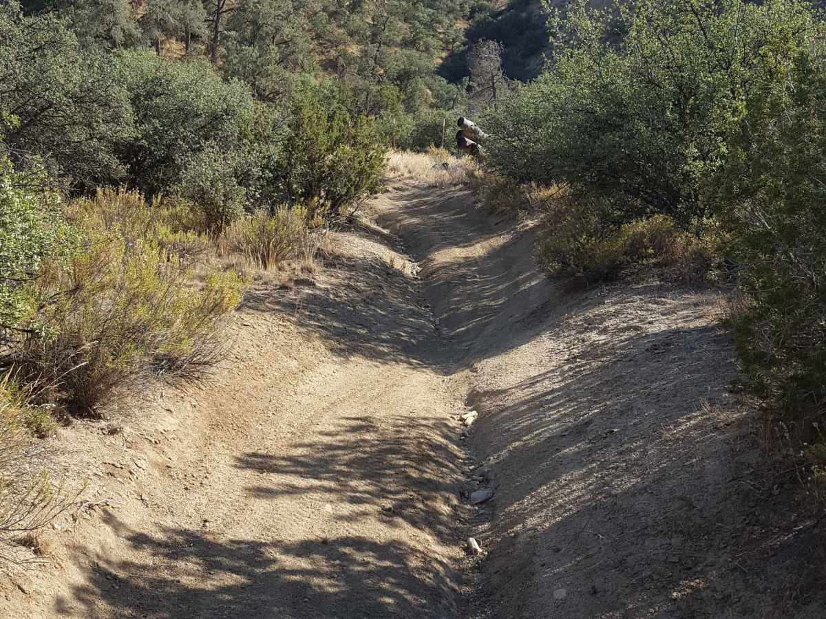 Trail 31 photo 2