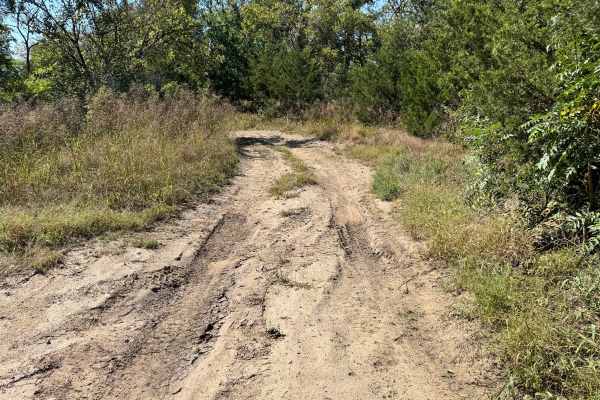 Mud Flap Meadow