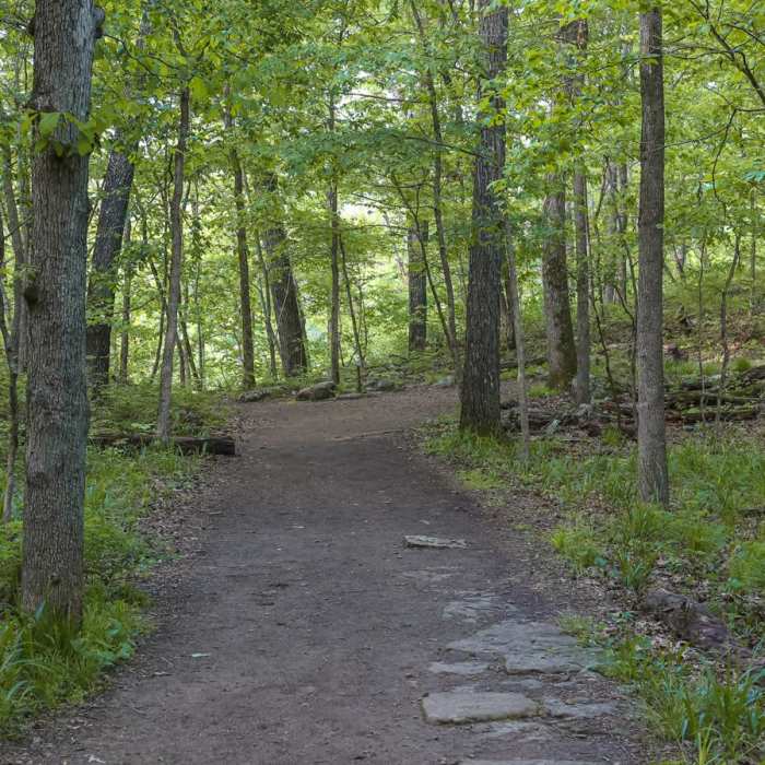 Near Devil's Den Trail Near Devil's Den Trail
