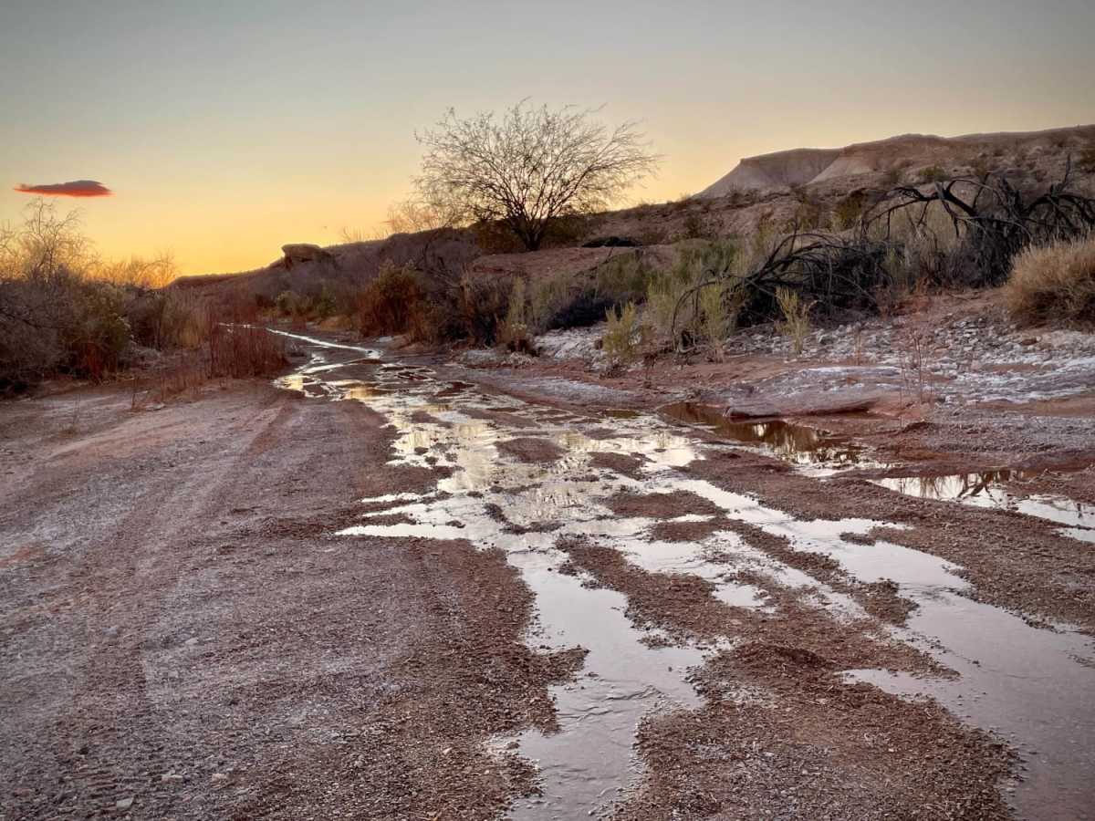 Bitter Springs photo 2