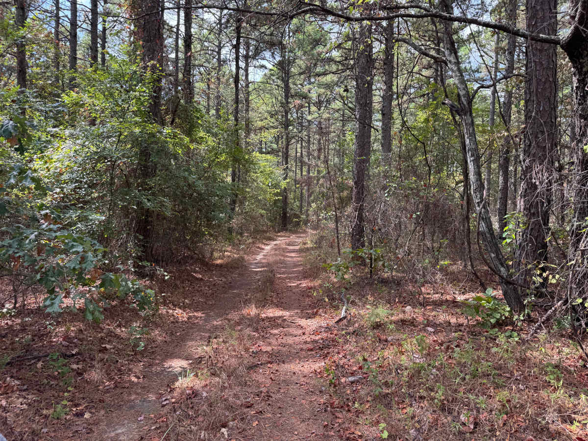 Piney Ridge photo 5