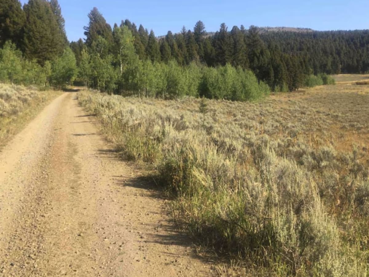 Camas Creek Road photo 2