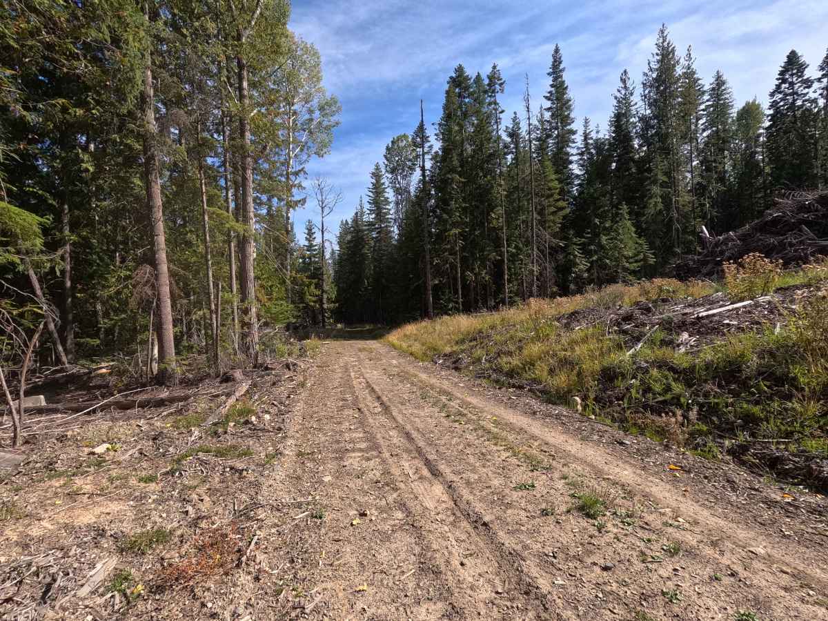 Kennett Meadows- FS 1700460 photo 3