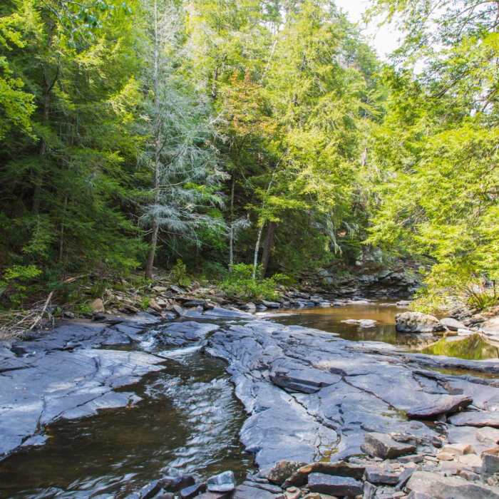 Near Gorge Overlook Trail