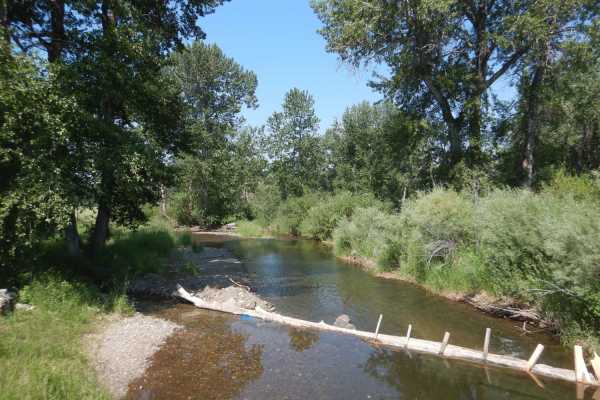 Snow Shoe Creek