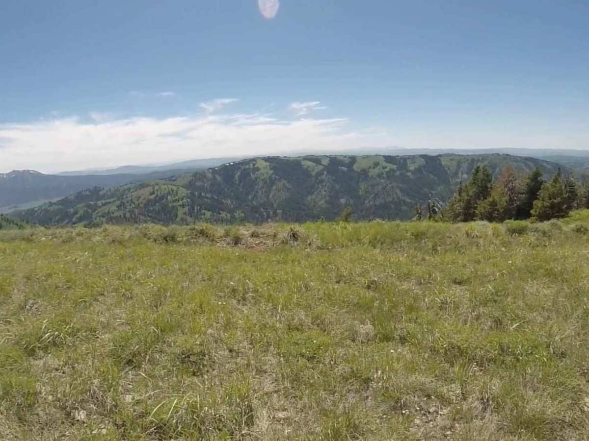 Warm Springs photo 3