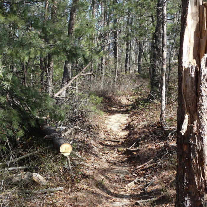 The path less traveled. Near Pinch-Em Tight Ridge Loop
