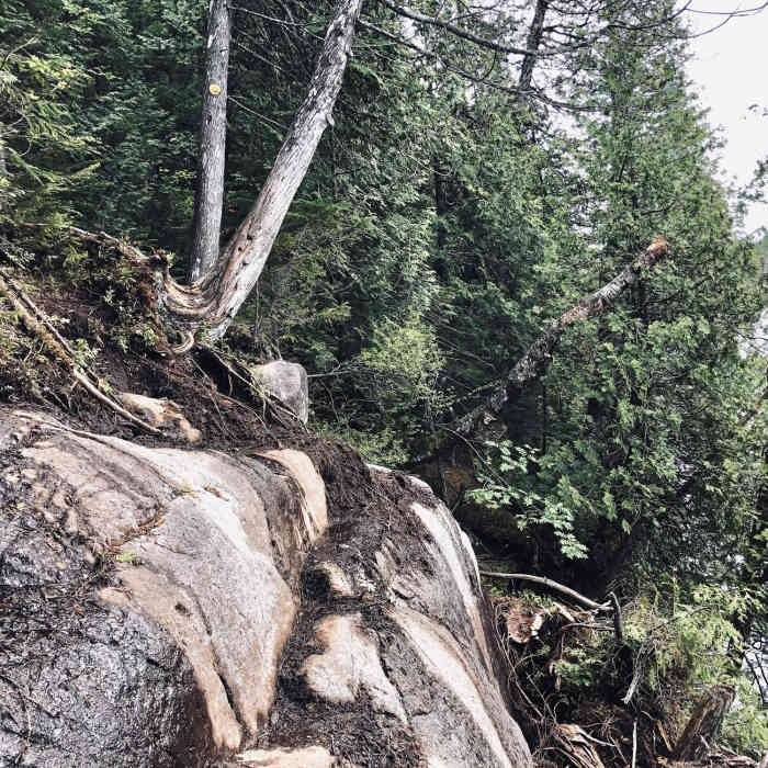 Collapsed trail along Lake Colden. Near Mount Colden Trail