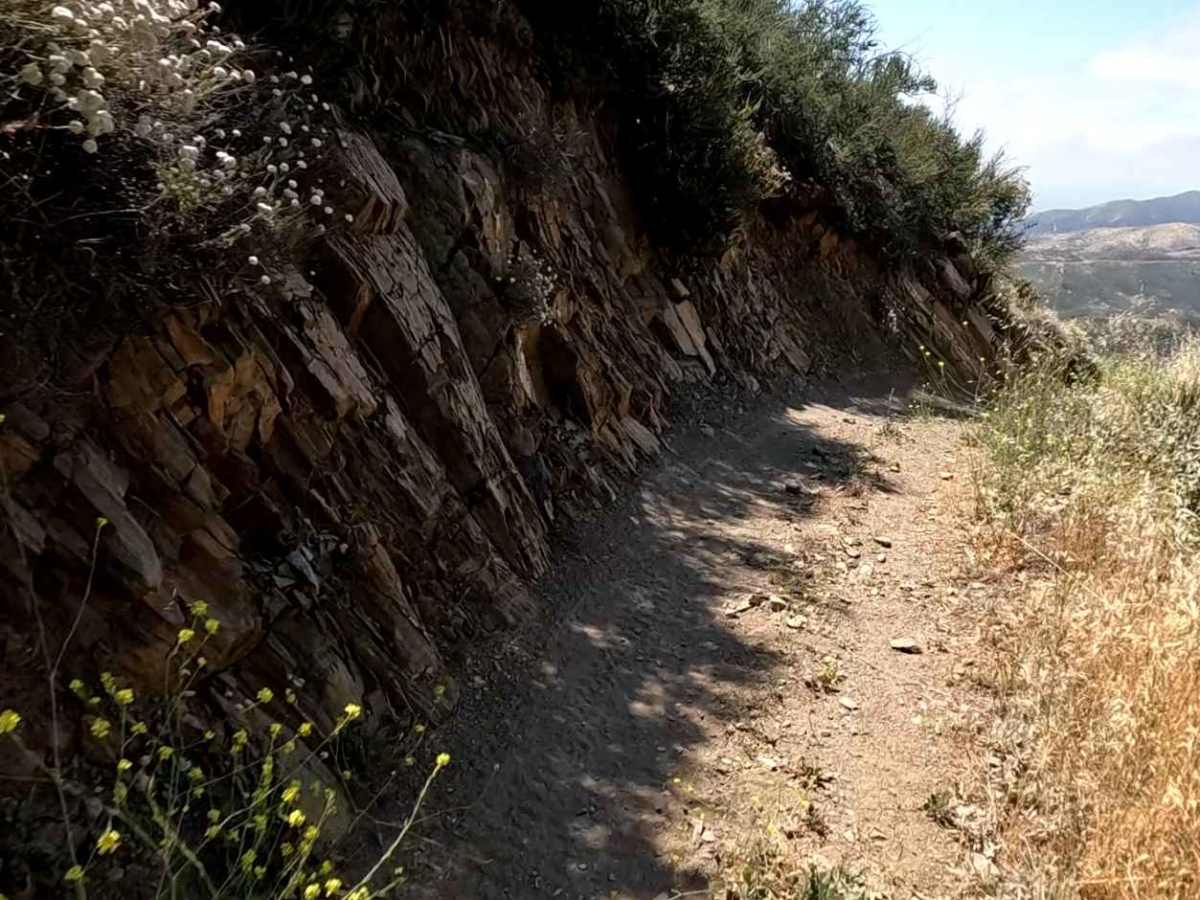 Coyote OHV Trail photo 6