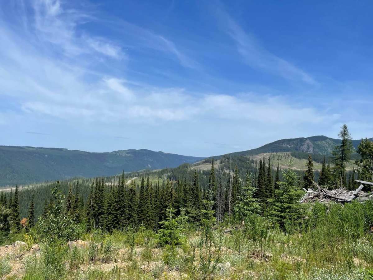 Grizzly Refuge photo 3