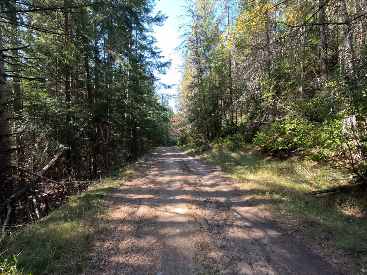 Healey Creek - FS 9517200 photo 5