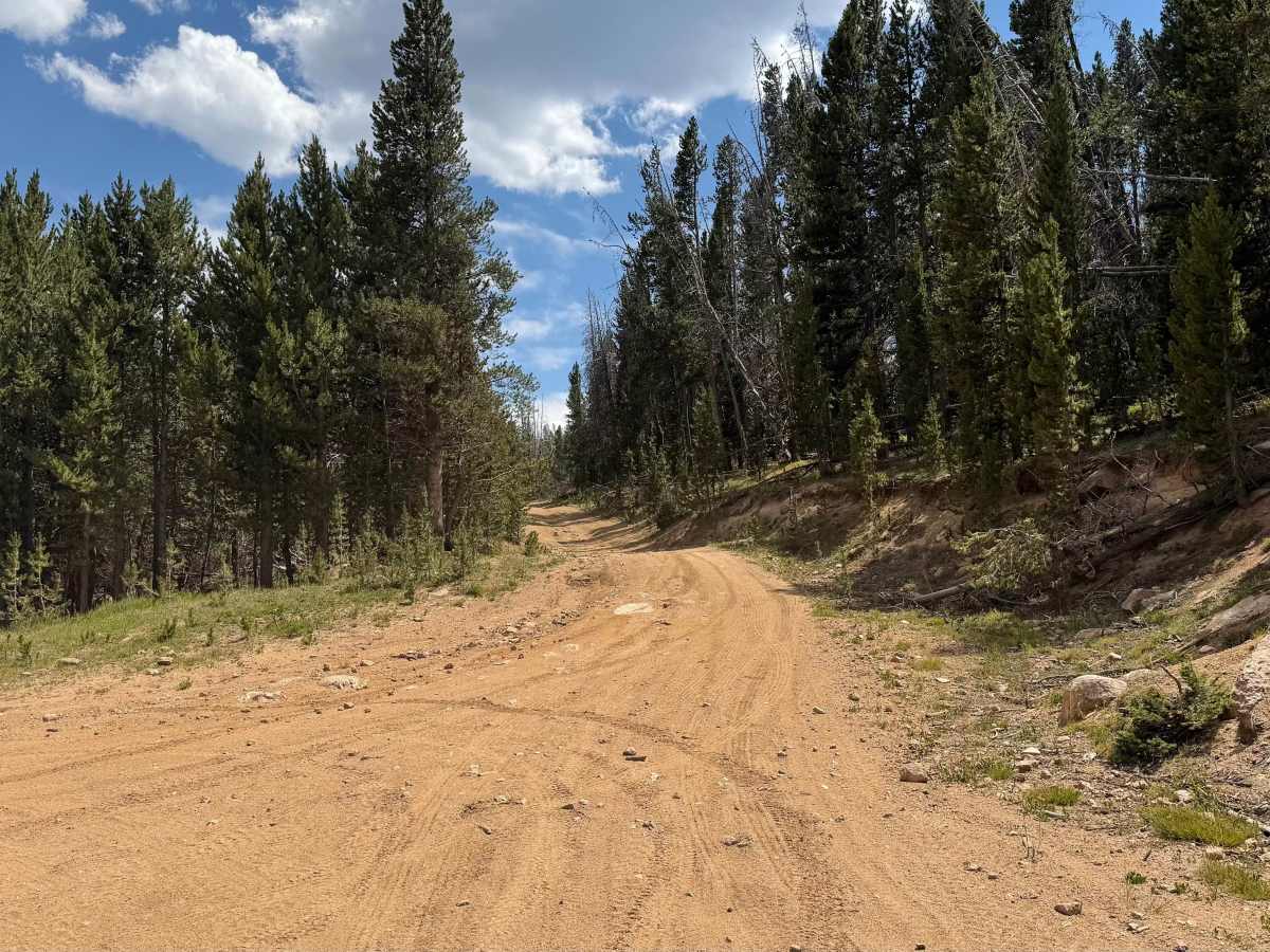 Forest Service Road 318.A photo 2