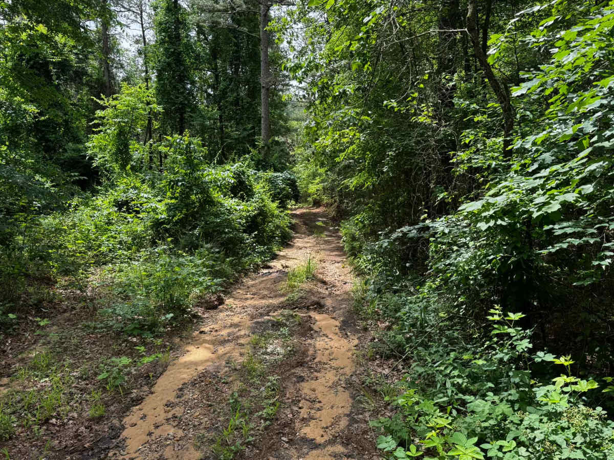 1148 trail photo