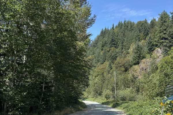 Ruby Forest Service Road