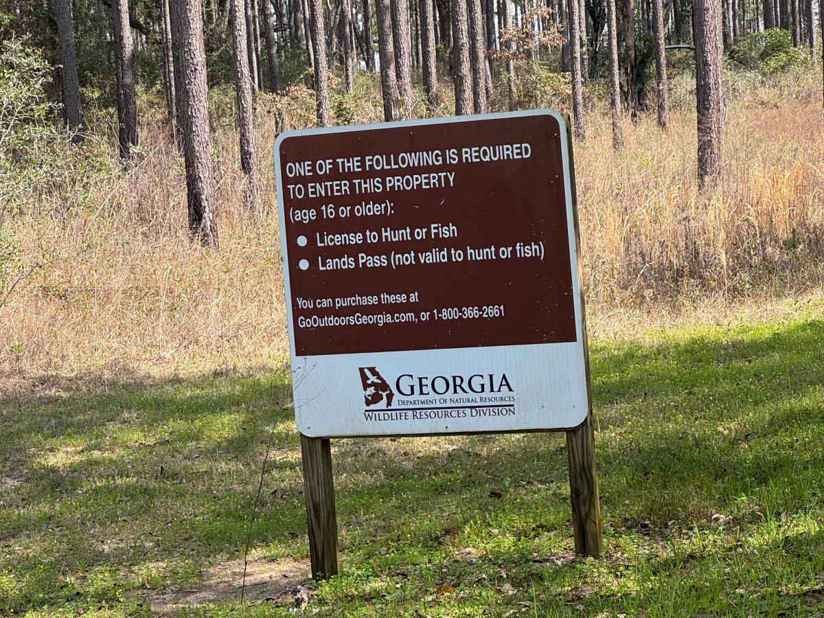 East Entrance Trail photo 2