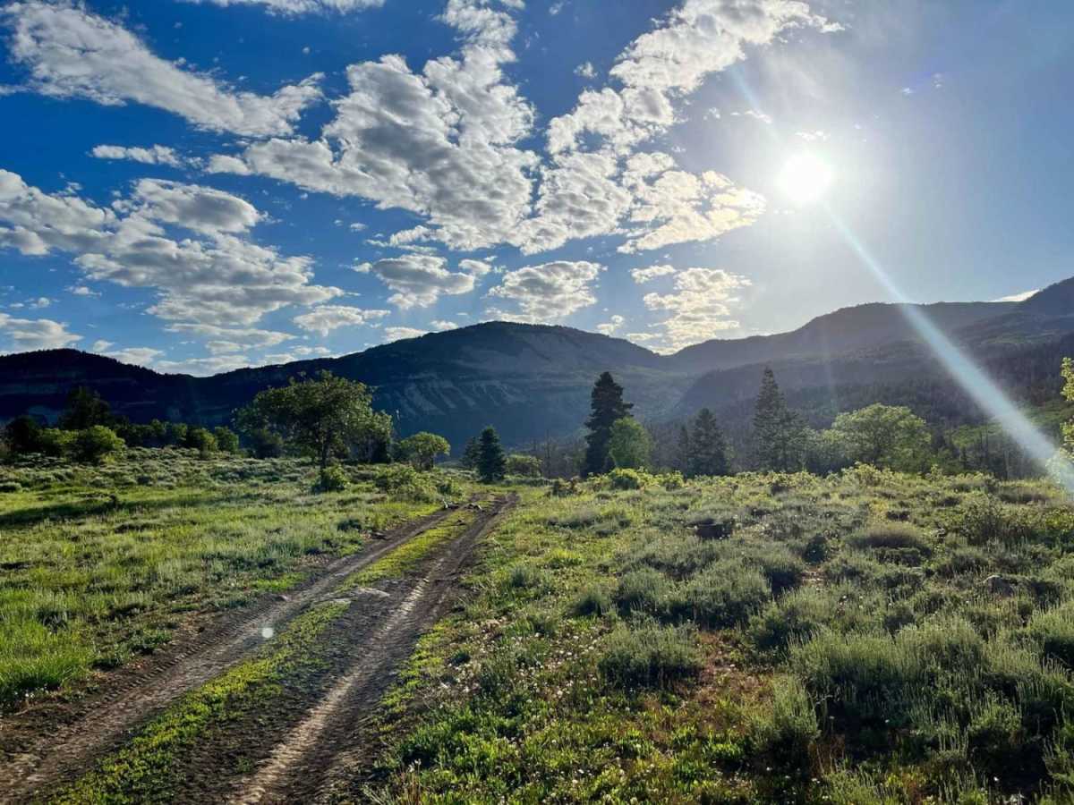 Burnt Hill trail photo