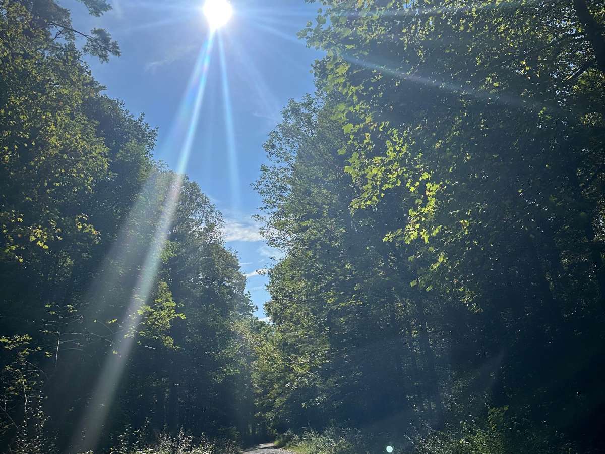 Elkhorn Lake trail photo