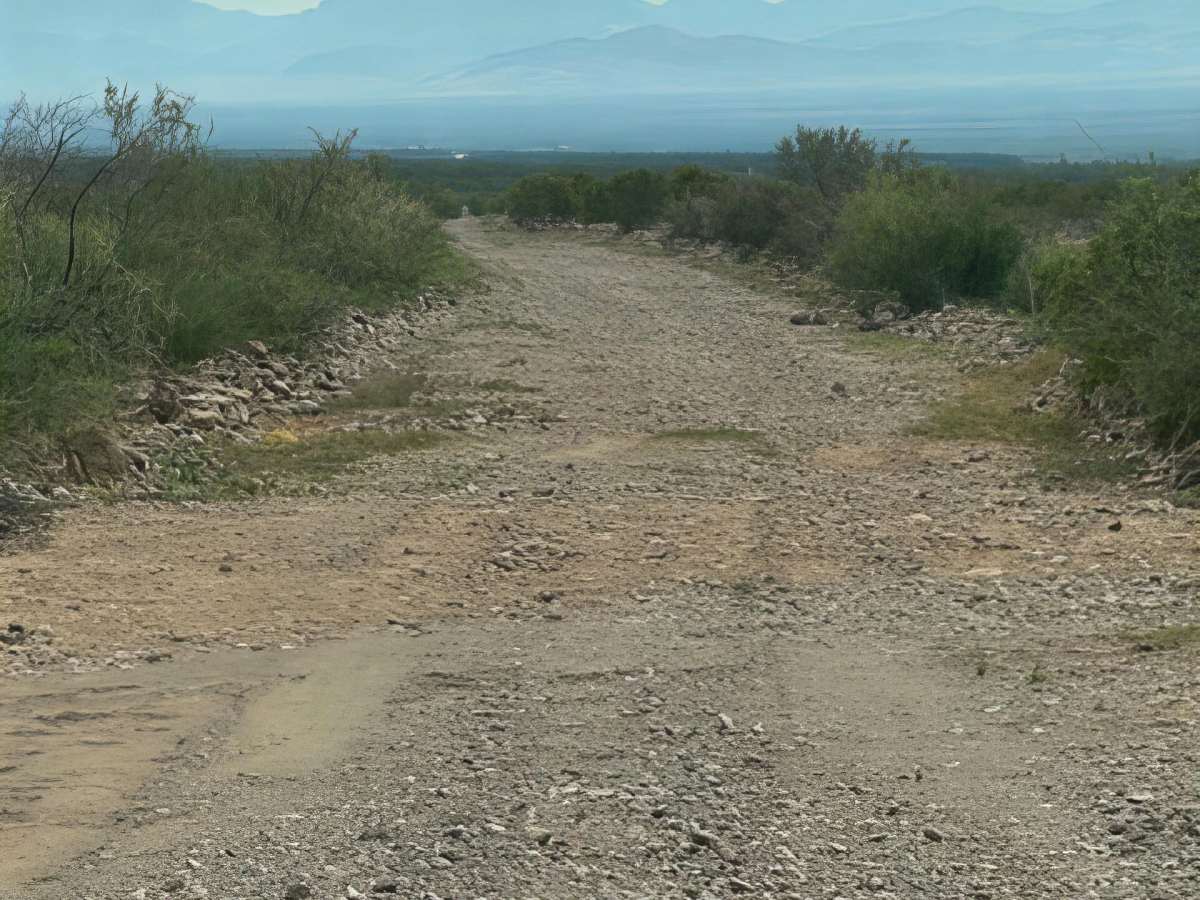Ss1155 photo 3