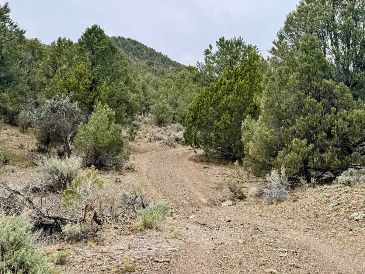 Trail Canyon Spur - FS 43312A photo 4