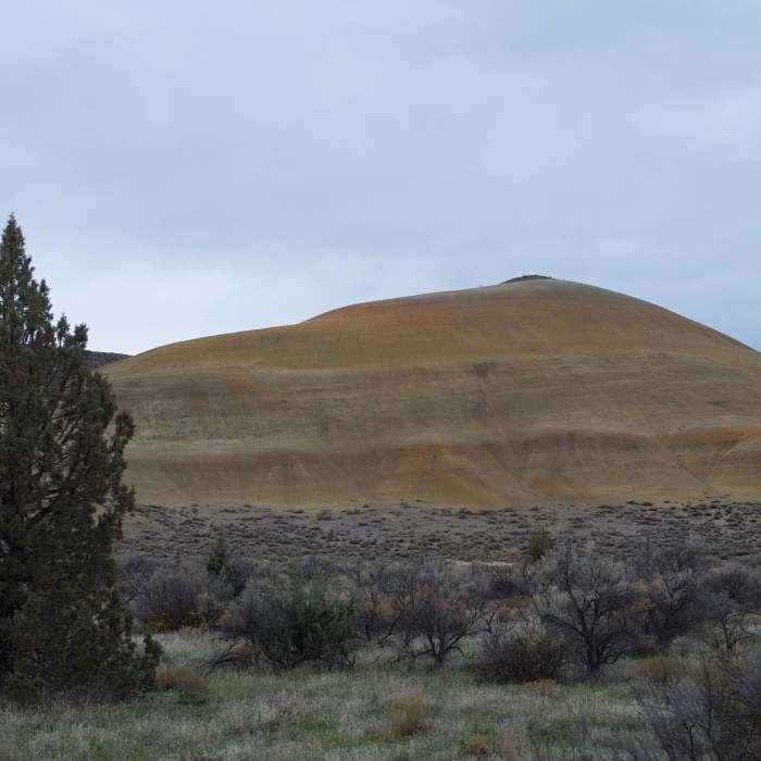 Near Leaf Hill Trail