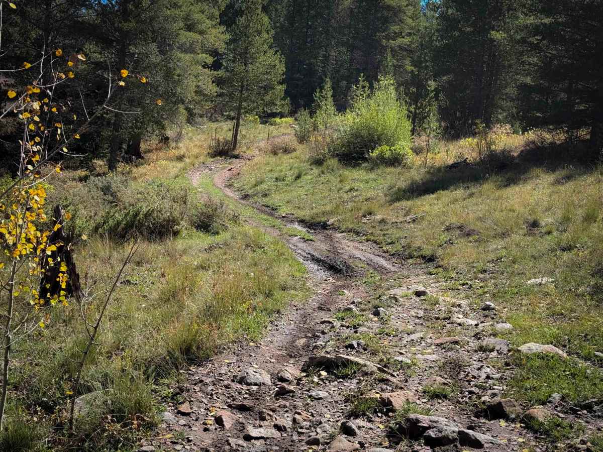 Beaver-McIntyre Trail - FS 472  photo 2