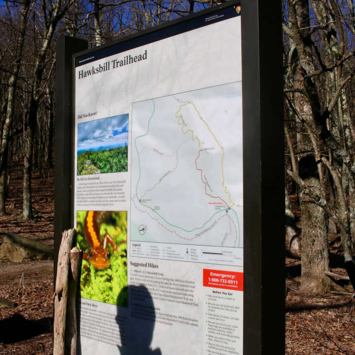 Near Hawksbill Summit Loop