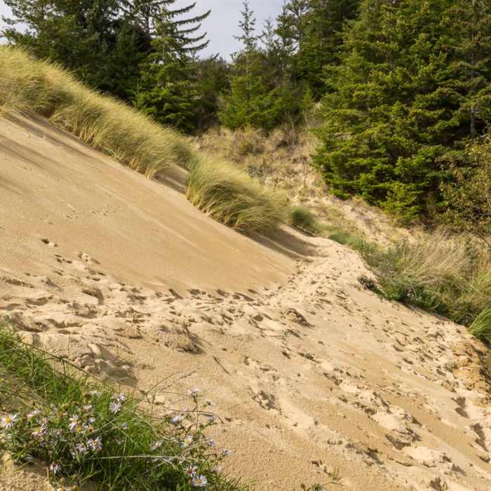 Near Hall + Shuttpelz Lake Trail