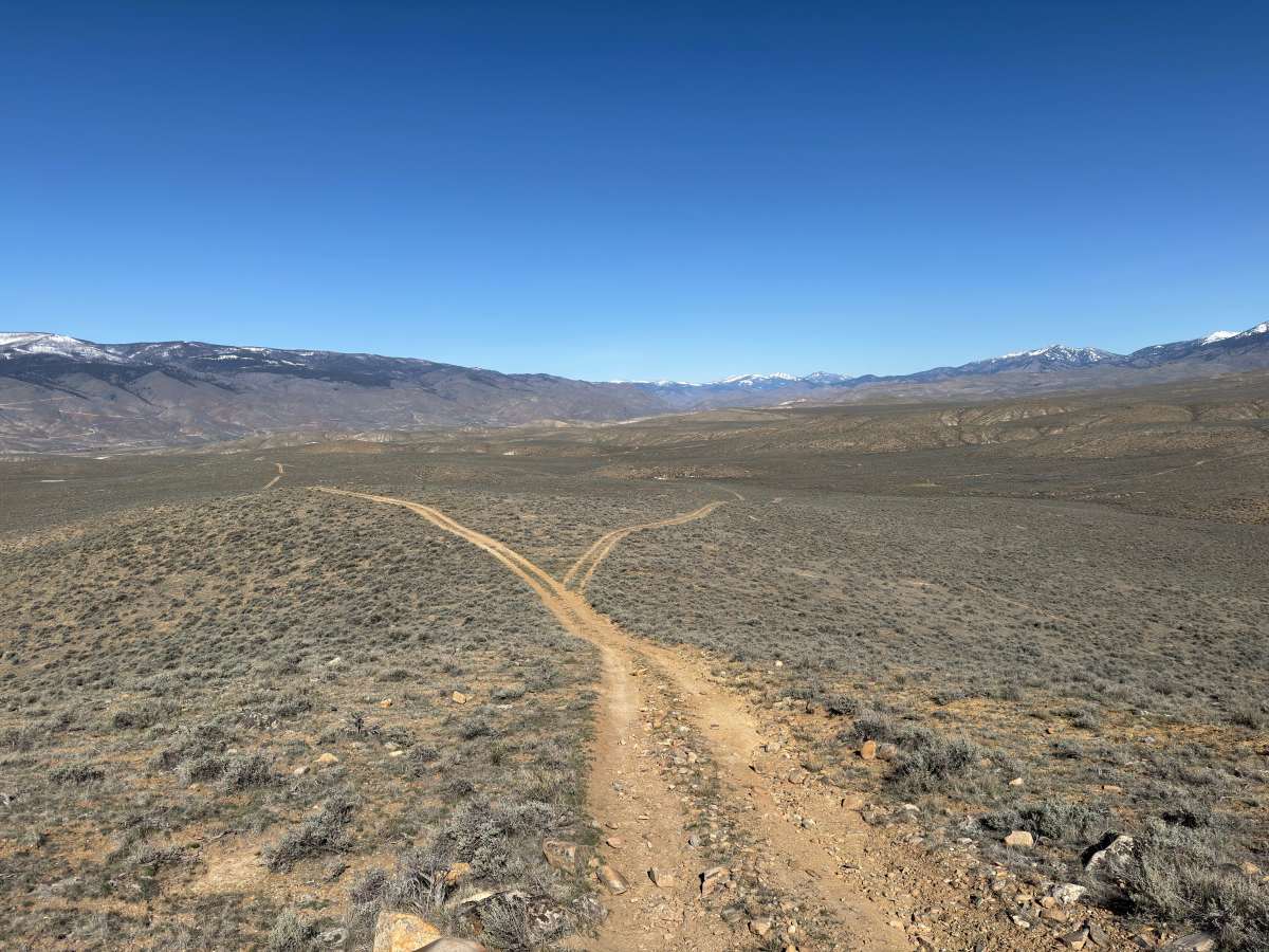 BLM 124 photo 5