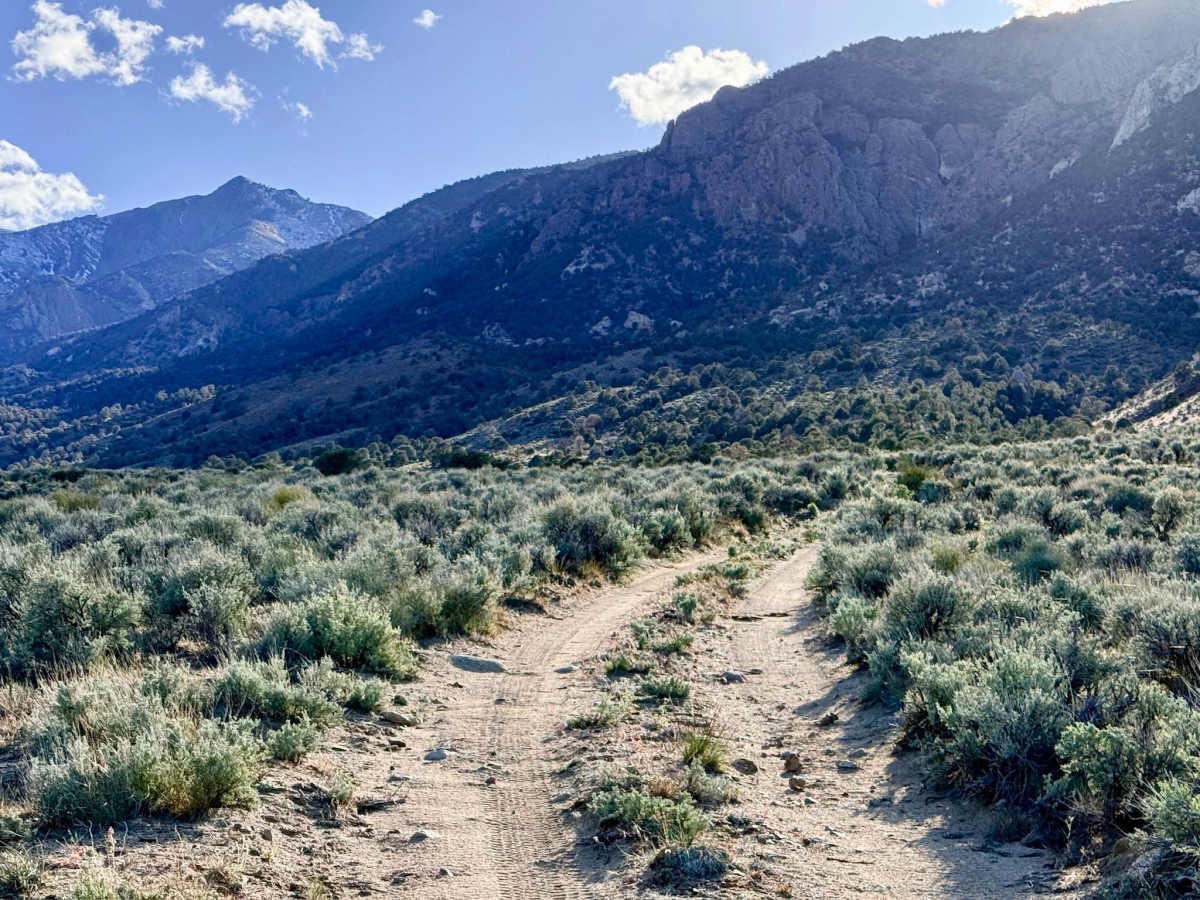 McLeod Bypass - FS 43340 trail photo