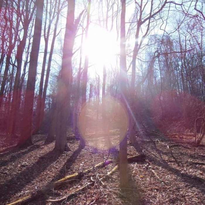 Near Boyce Park East and West Loop