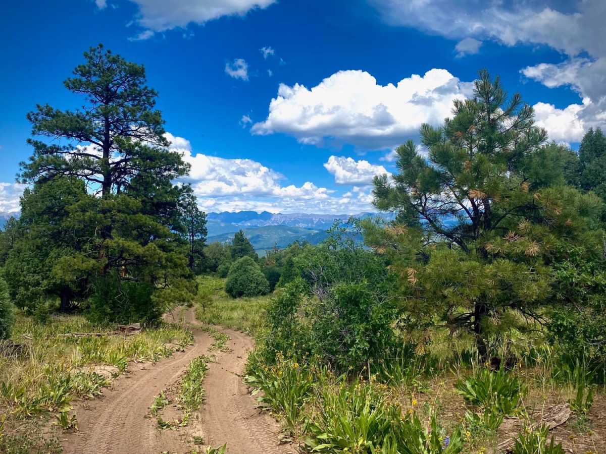 Eight Mile Mesa B-USFS Rd #651B trail photo