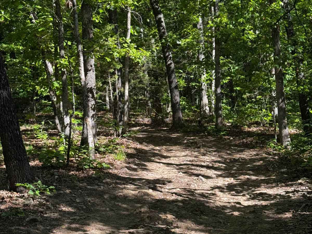Inner Trail 17 photo 2